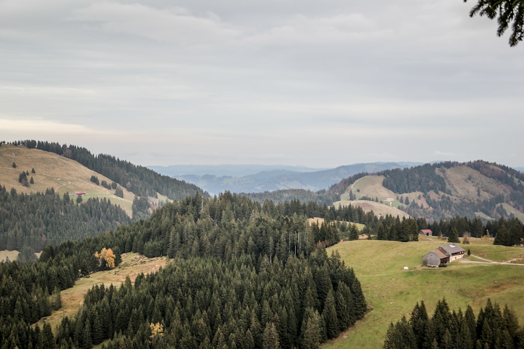Découvrez le Rennsteig Ridge : un sentier entre nature et histoire en Thuringe — Neuhaus am Rennweg
