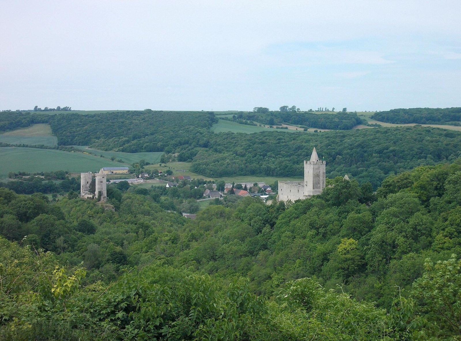 Scopri la Valle di Saale-Unstrut: Natura e Storia a Naumburg — Naumburg (Saale)