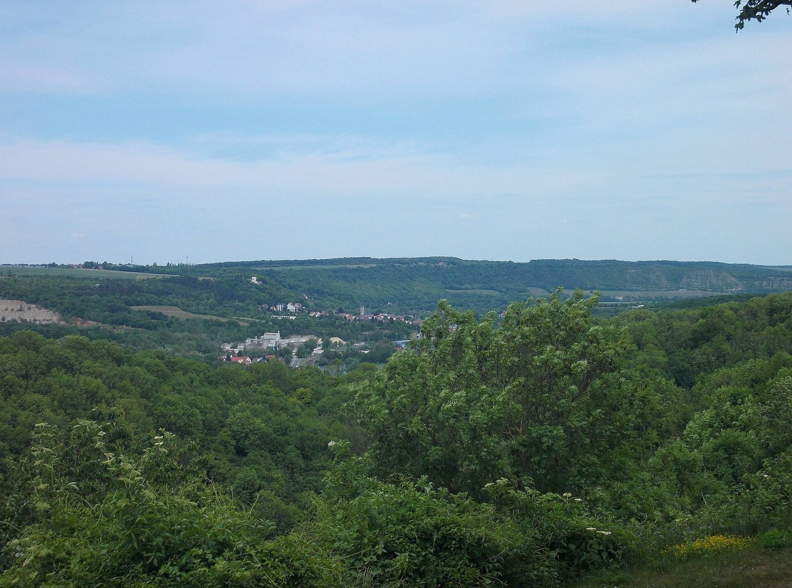 Scopri la Valle di Saale-Unstrut: Natura e Storia a Naumburg - Naumburg (Saale) | Secret World Trip Planner