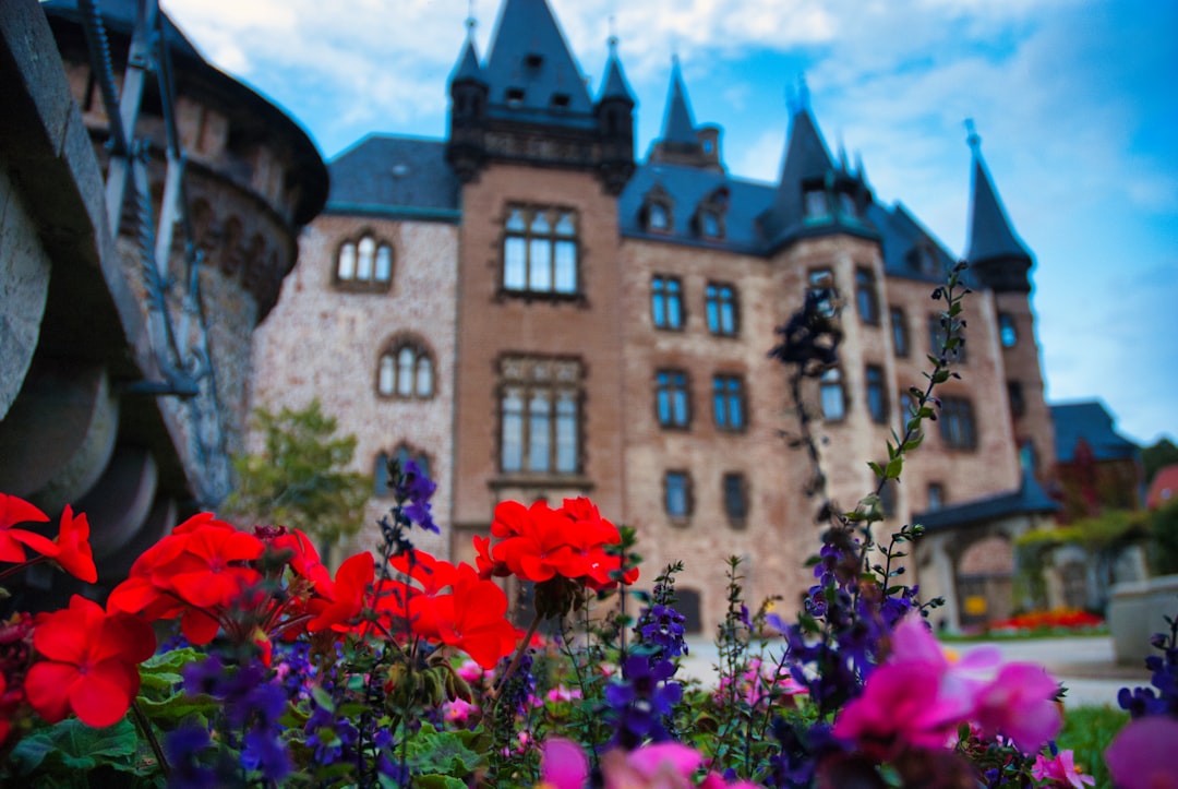 Scopri il Castello di Wernigerode: un gioiello della Sassonia-Anhalt - Wernigerode | Secret World Trip Planner