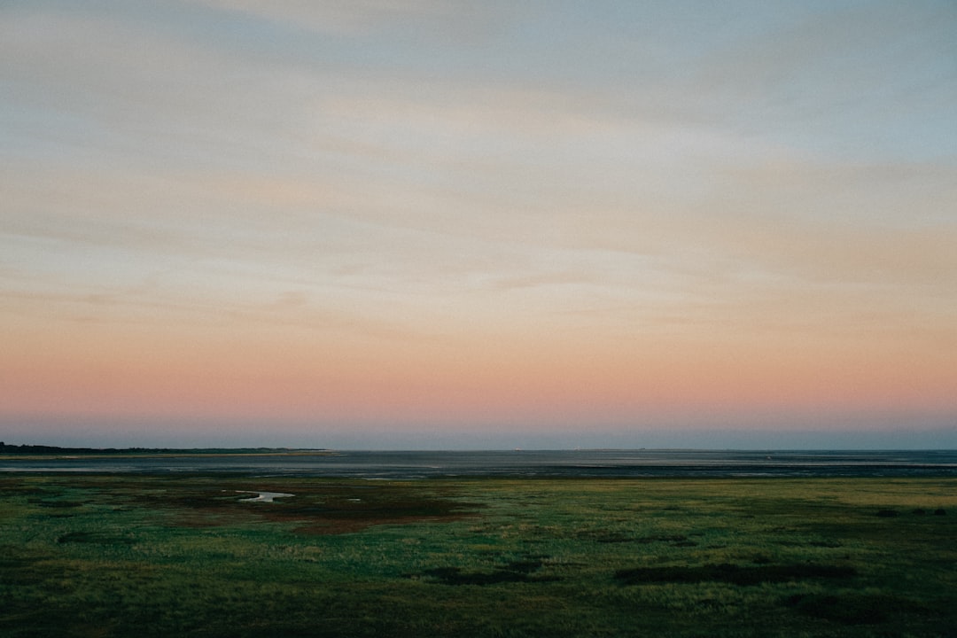 Descubre el Parque Nacional Wattenmeer en Cuxhaven: una joya natural - Cuxhaven | Secret World Trip Planner