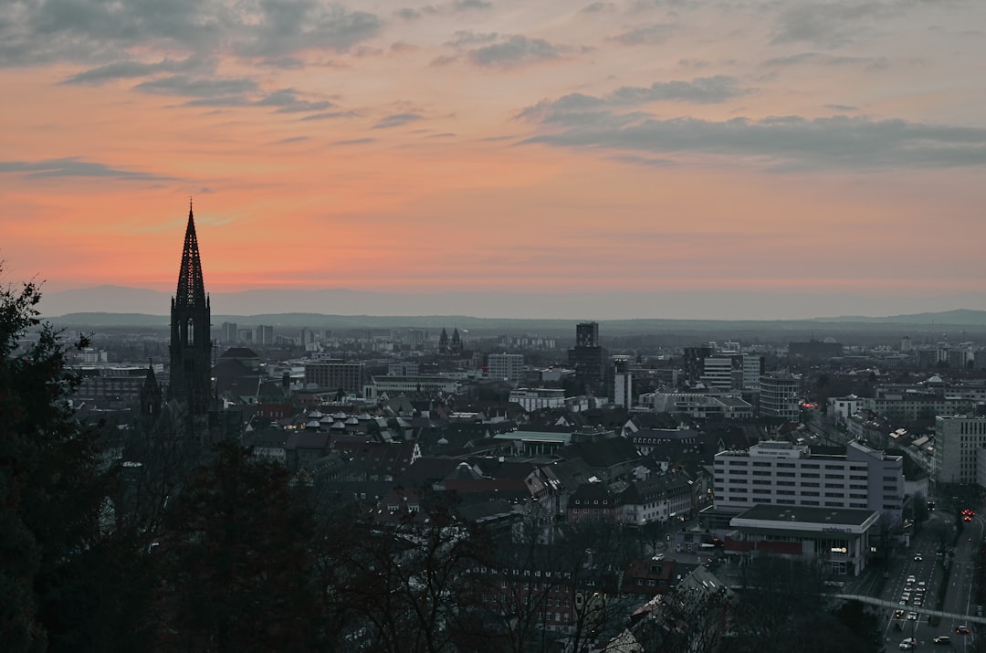 探索弗赖堡大教堂：德国文化瑰宝 - Freiburg im Breisgau | Secret World Trip Planner