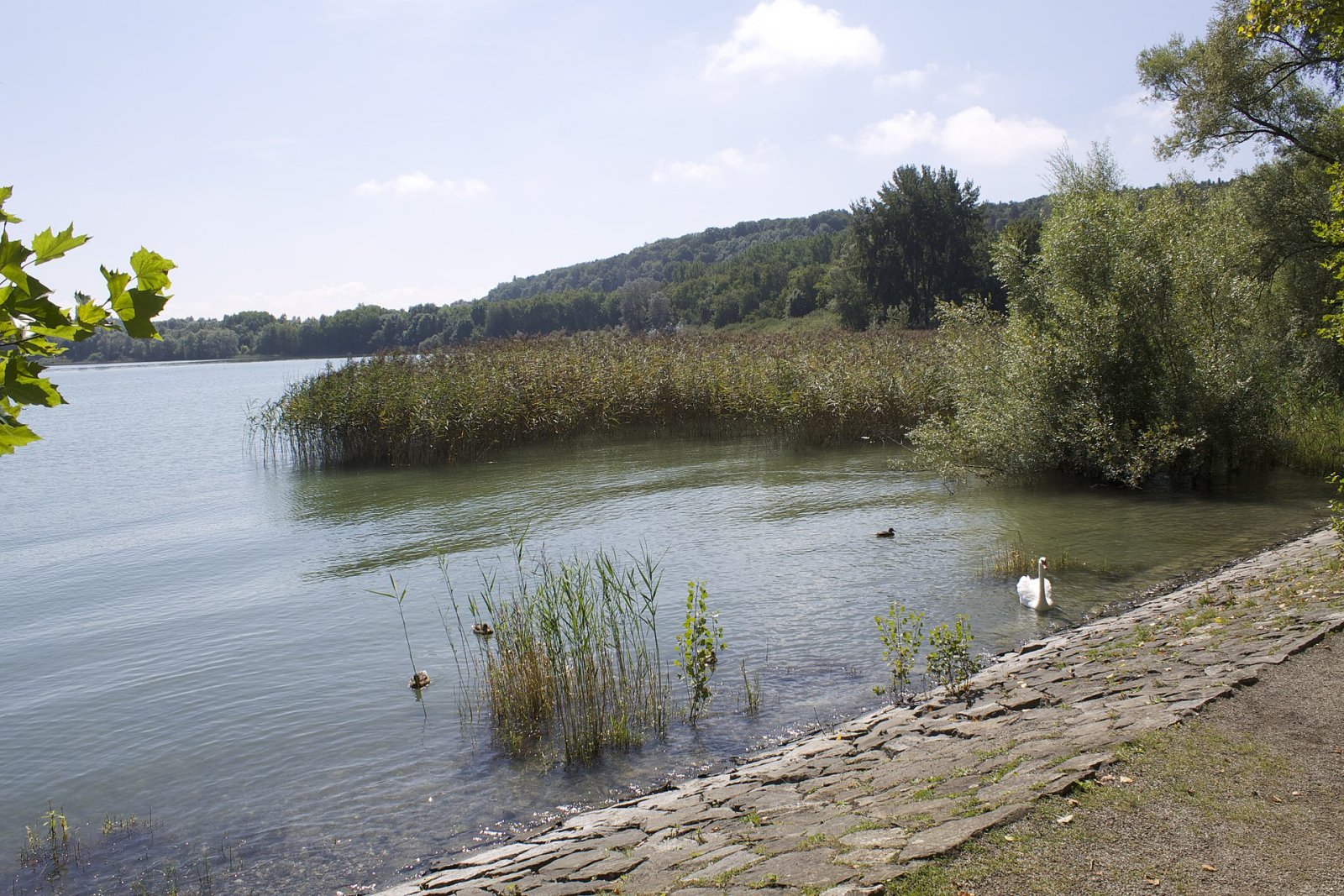 Discover Mainau Island: A Natural Paradise on Lake Constance - Konstanz | Secret World Trip Planner