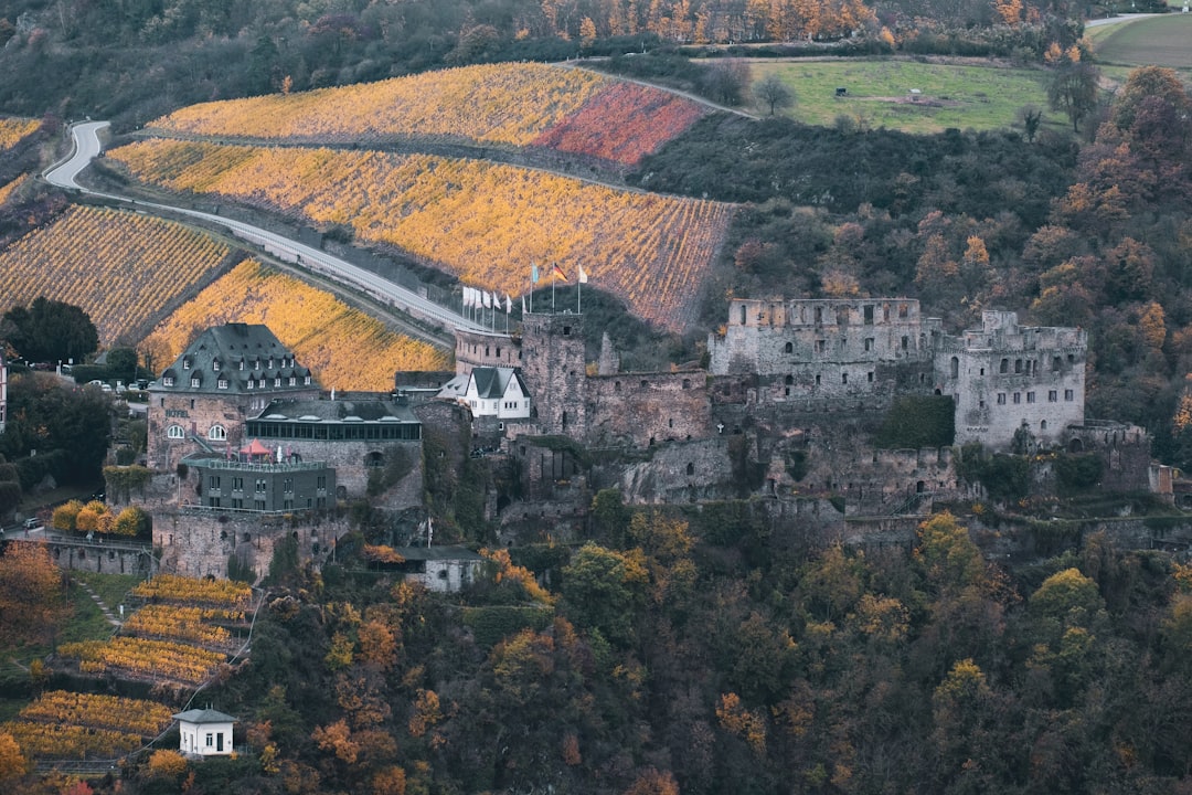 Descubre el Castillo de Rheinfels: Historia y Belleza en el Rin - Sankt Goar | Secret World Trip Planner