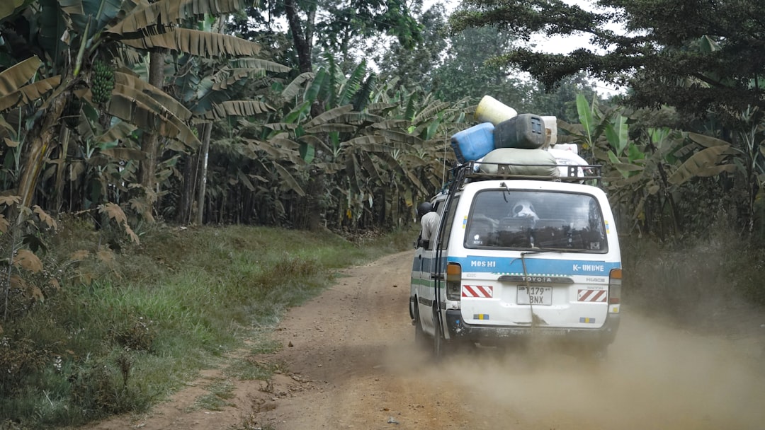 Sentieri mozzafiato a Moshi: Avventure sul Kilimanjaro - Moshi | Secret World Trip Planner