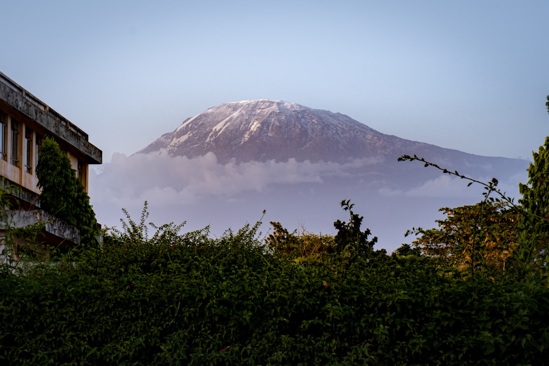 Sentieri mozzafiato a Moshi: Avventure sul Kilimanjaro - Moshi | Secret World Trip Planner