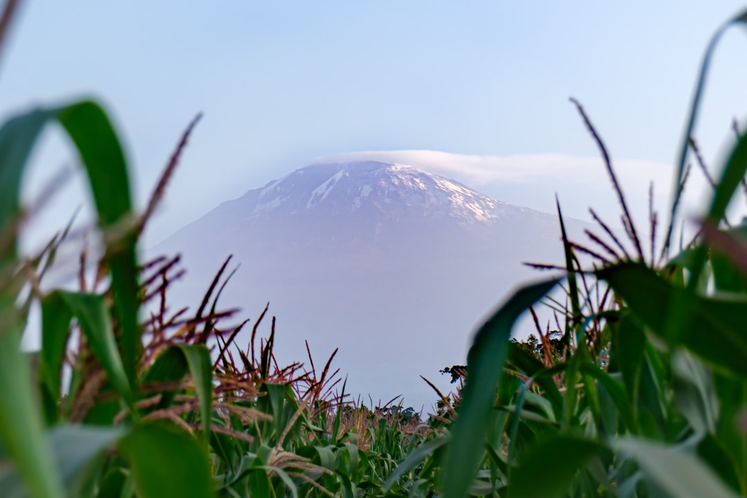 Breathtaking Trails in Moshi: Kilimanjaro Adventures - Moshi | Secret World Trip Planner