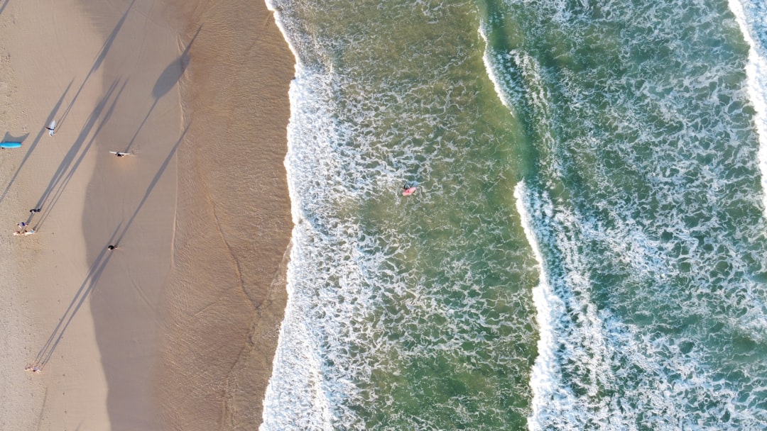 Sculpture sur Mer : Art le long de la Côte de Bondi - Bondi Beach Nuovo Galles del Sud 2026 | Secret World Trip Planner