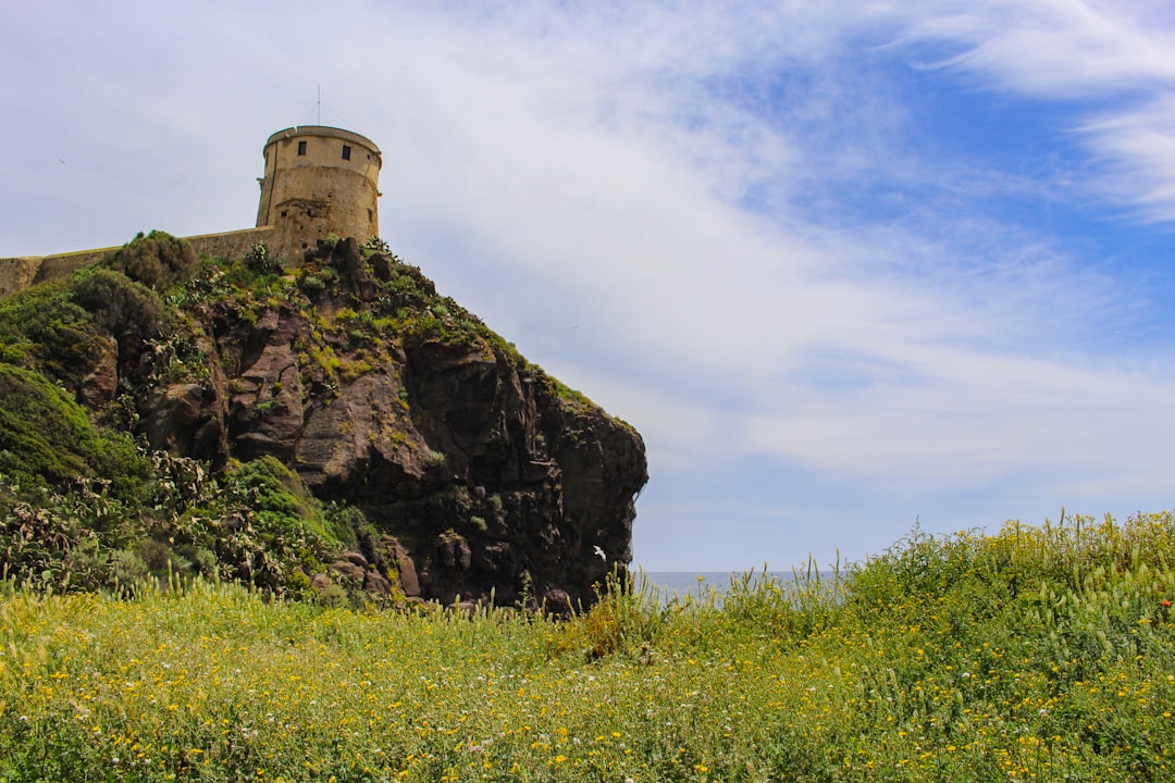Исследуя вулканический памятник горы Сент-Хеленс - Castle Rock | Secret World Trip Planner