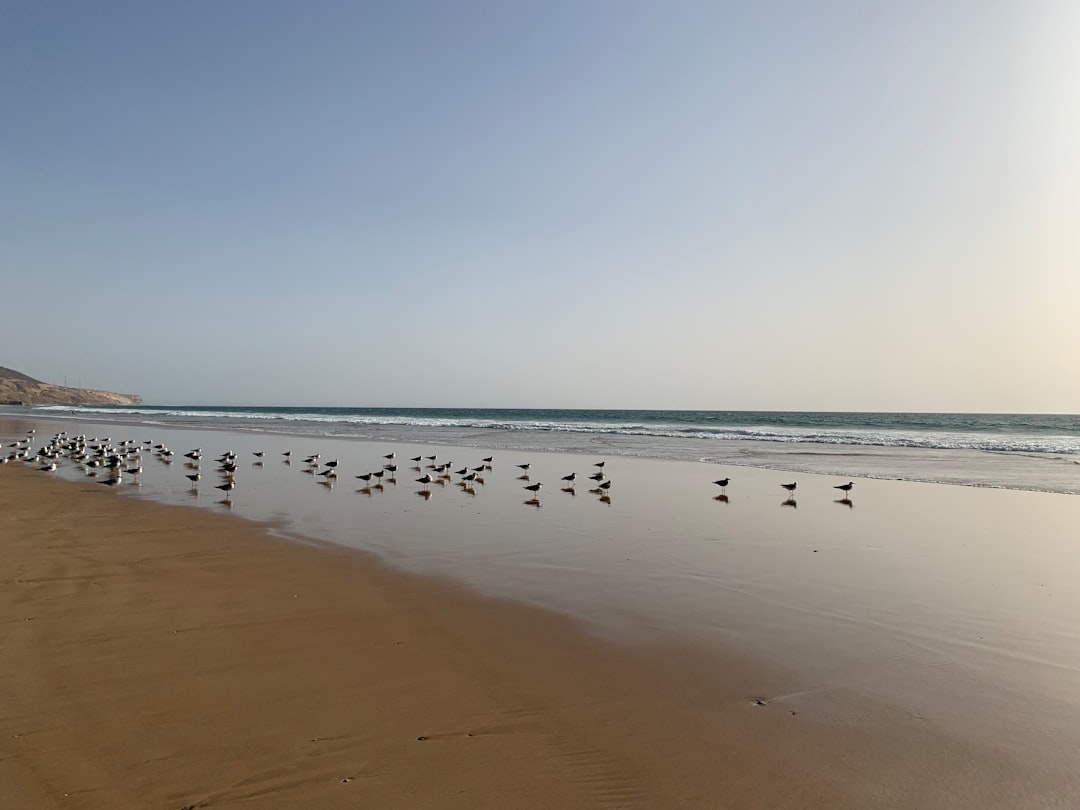 Descubre Tan Tan Plage: la joya costera de Marruecos - FMX8+CF3 | Secret World Trip Planner