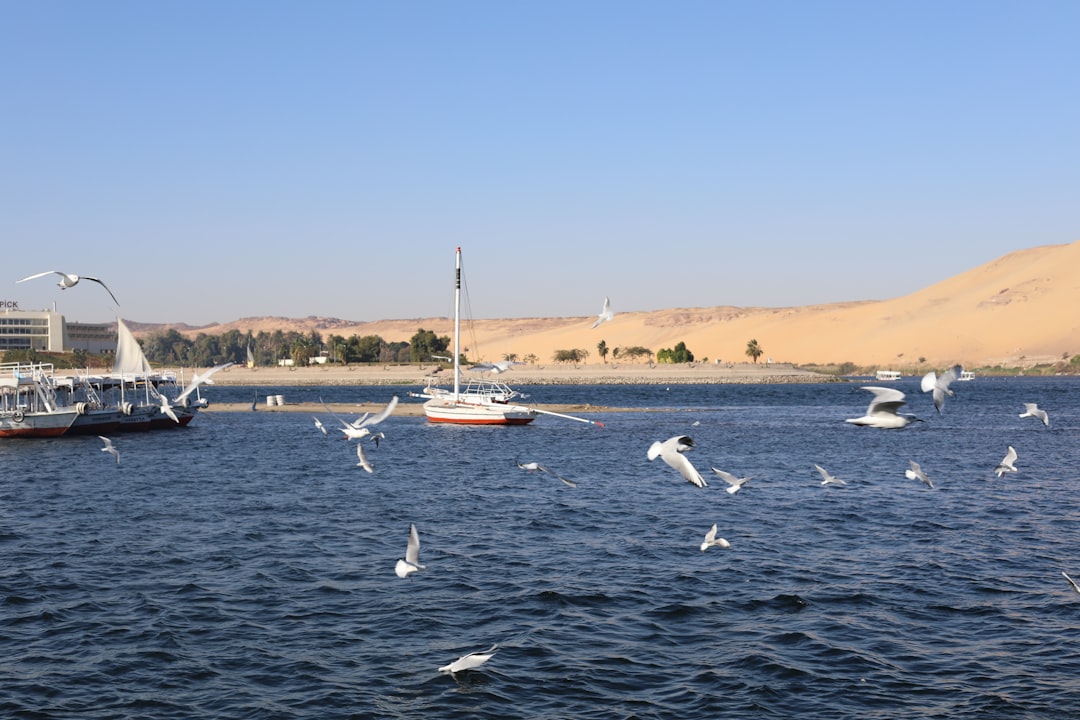 Madinat Coraya: Un Paraíso en el Mar Rojo - Marsa Alam | Secret World Trip Planner