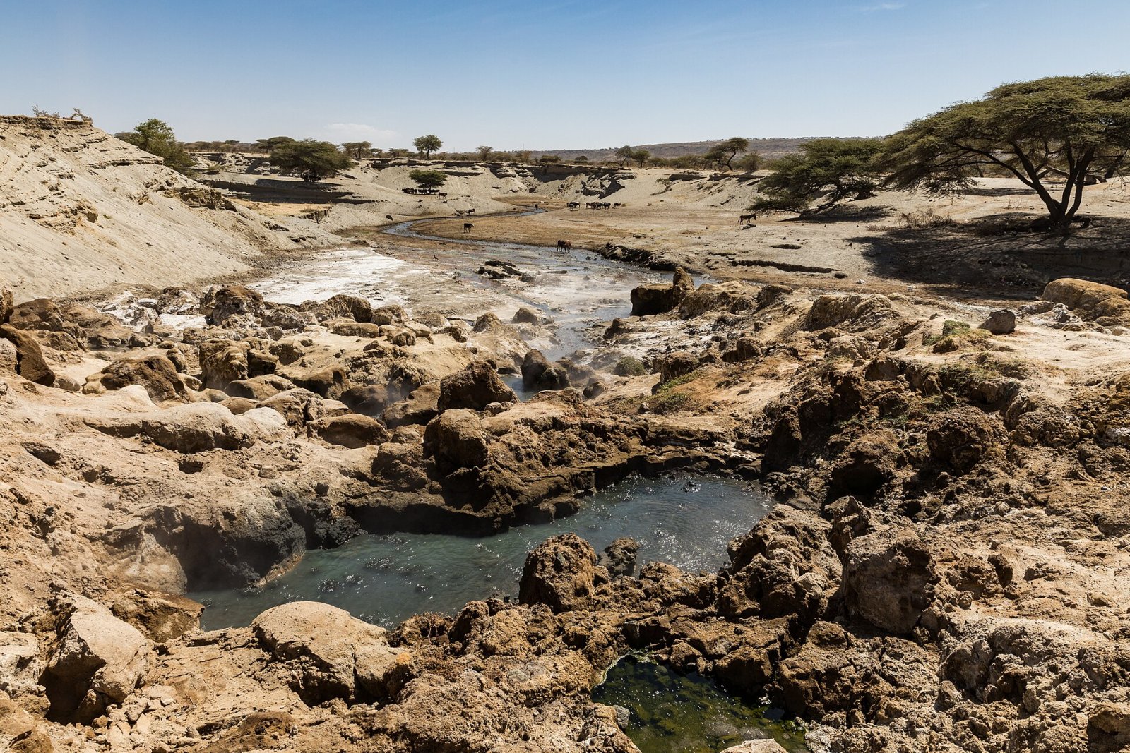 Découvrez les Sources Thermales Chaudes d'Éthiopie — FJHM+HR Dole