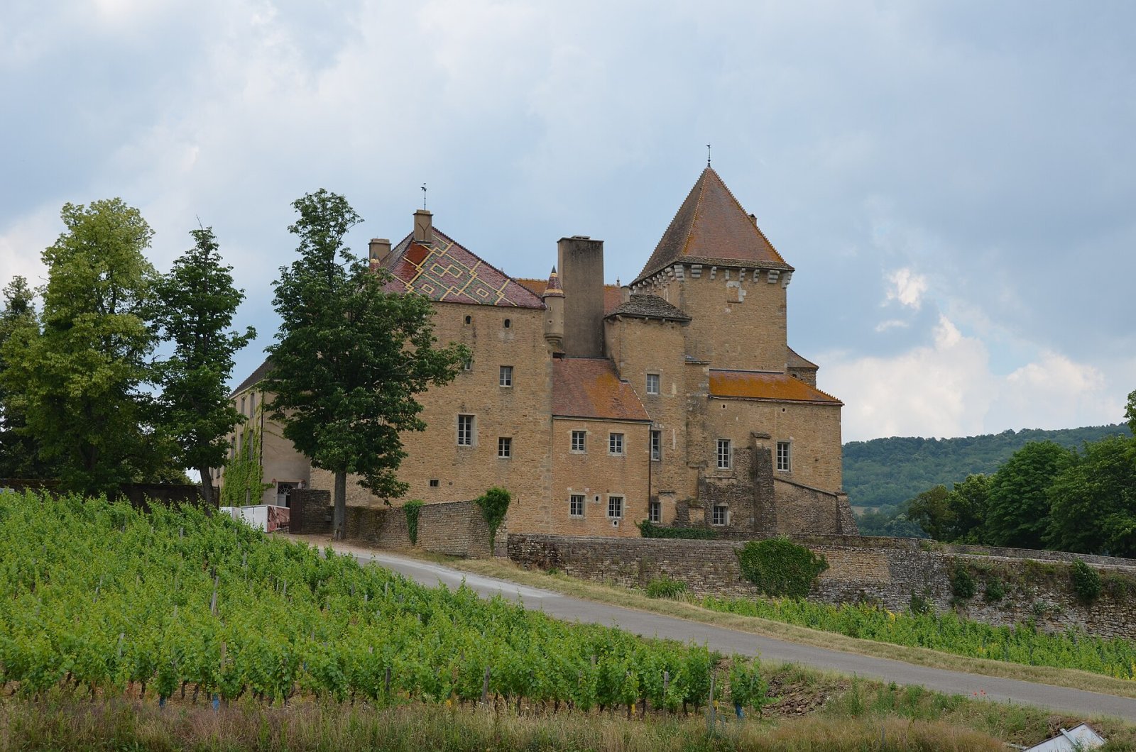 Descubre el encanto del Château de Pierreclos en Borgoña — Cluny