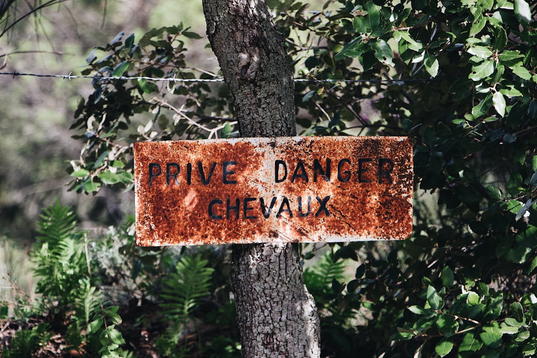 Réserve de Scandola : Un Paradis Naturel en Corse - Osani | Secret World Trip Planner