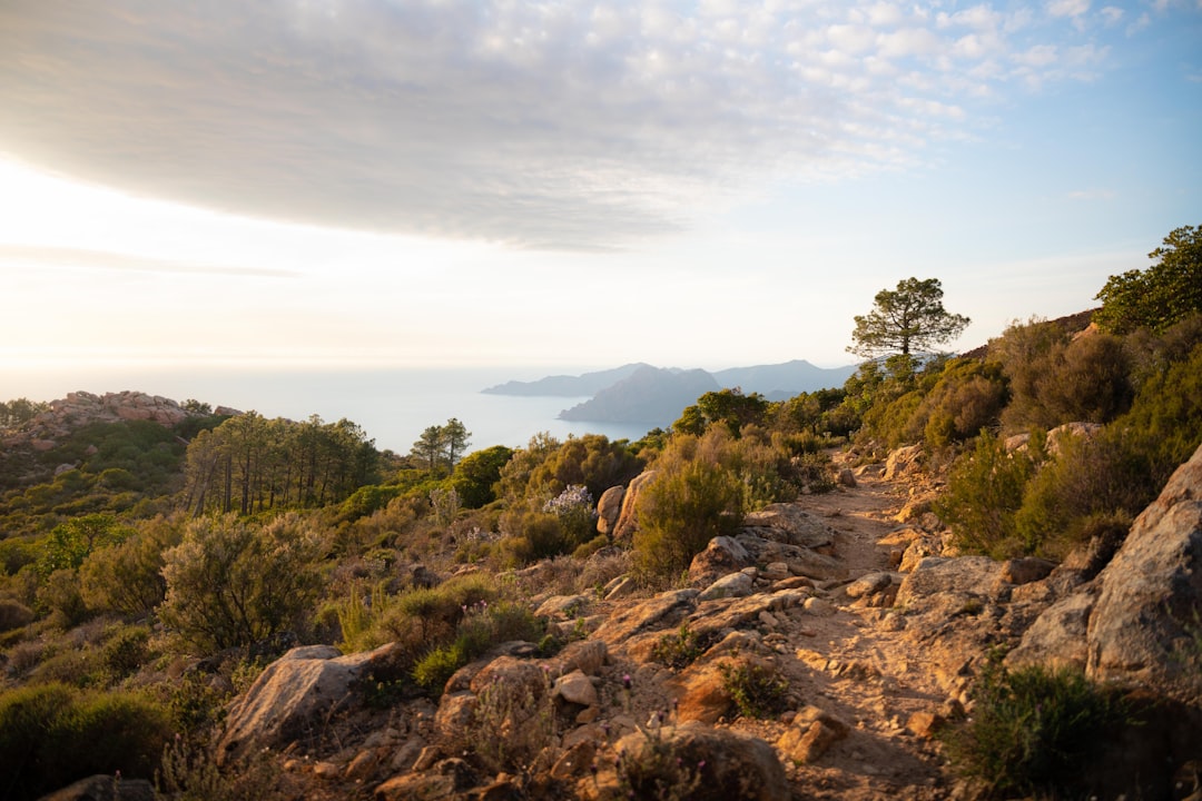 Découvrez les Calanques de Piana : un joyau naturel en Corse — Piana