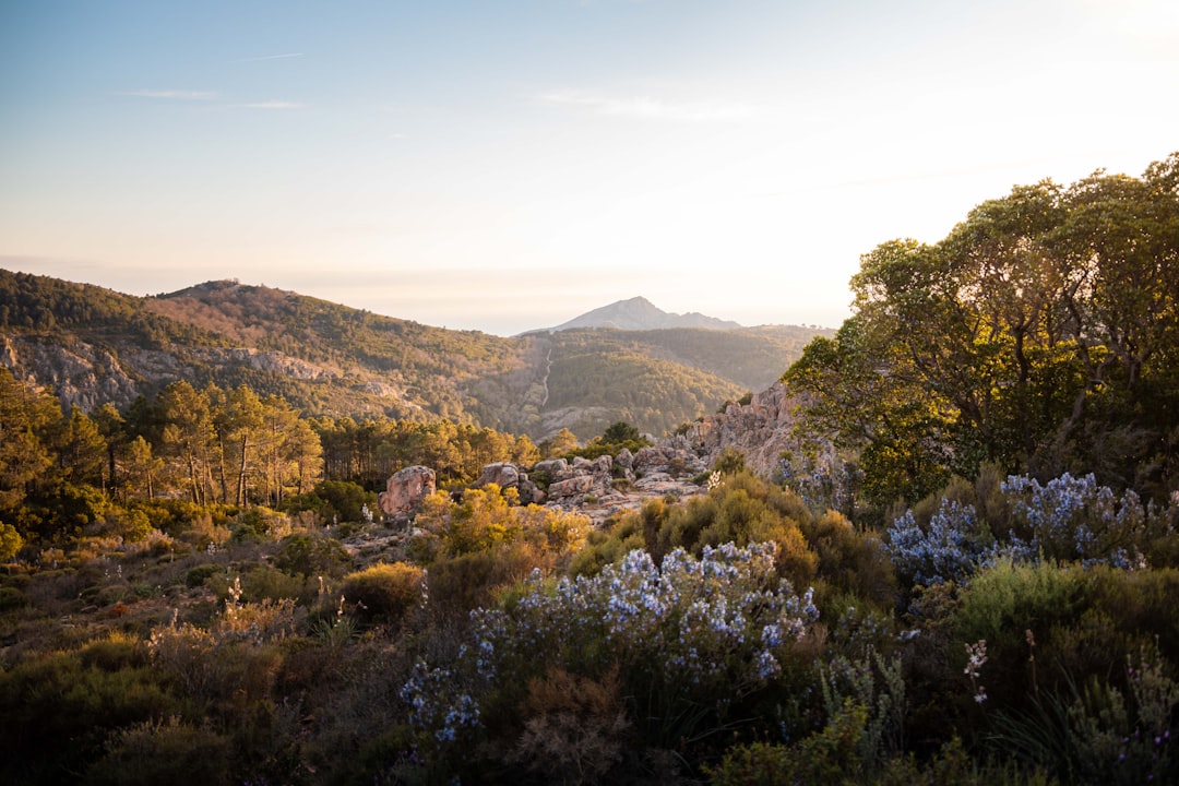 Descubre las Calanques de Piana: una joya natural en Córcega - Piana | Secret World Trip Planner