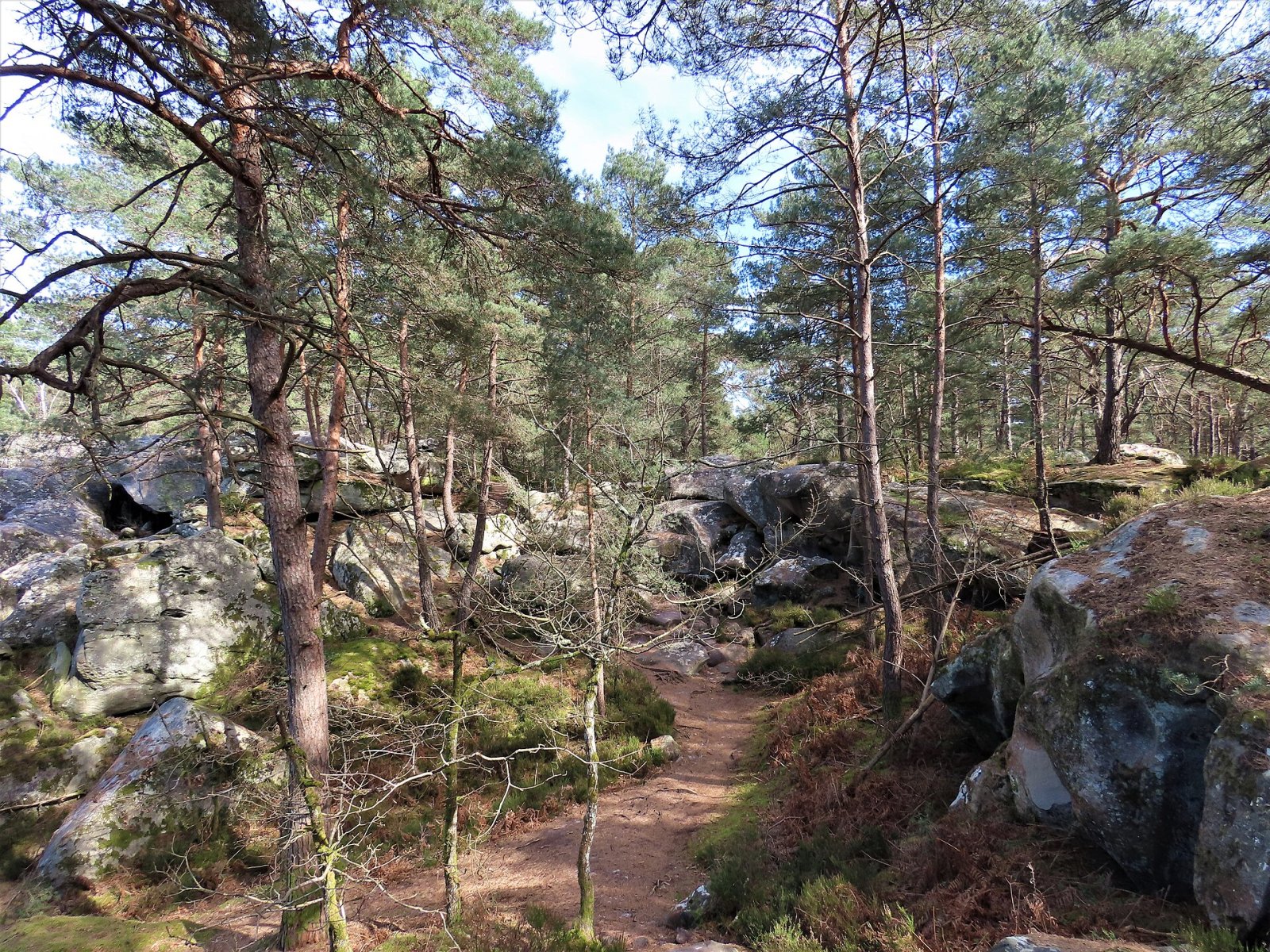 Descubre las Gorges de Franchard: un rincón de naturaleza en Fontainebleau - Fontainebleau | Secret World Trip Planner