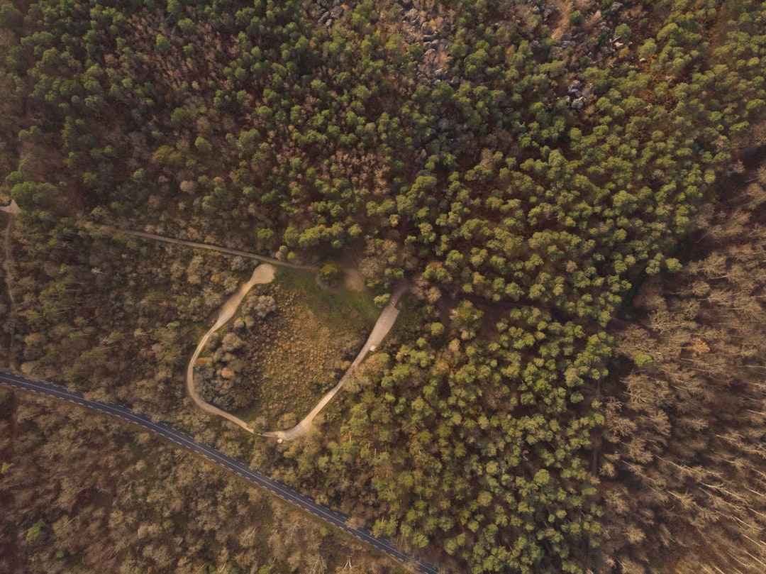 Entdecken Sie den Forêt de Fontainebleau: Ein Naturparadies in Frankreich — Fontainebleau