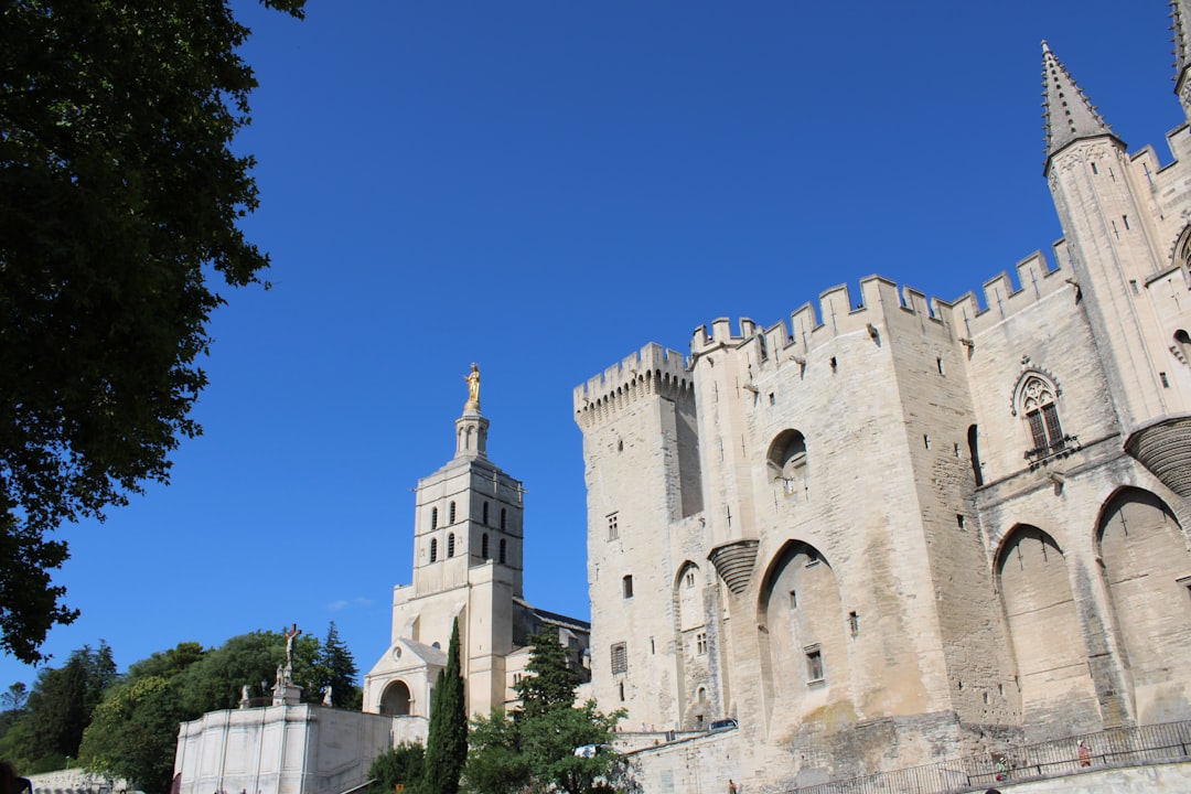 Discover the Palais des Papes in Avignon, a historical treasure - Avignon | Secret World Trip Planner