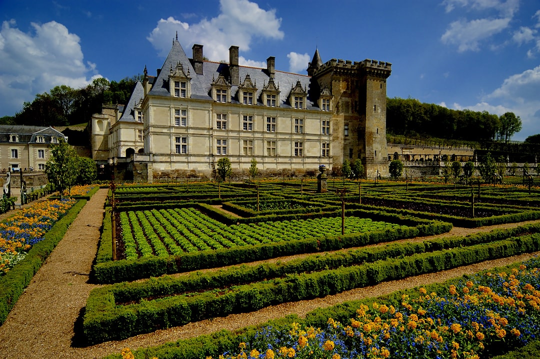 シャトー・ド・ヴィランドリーを発見：歴史と魅力的な庭園 - Villandry | Secret World Trip Planner