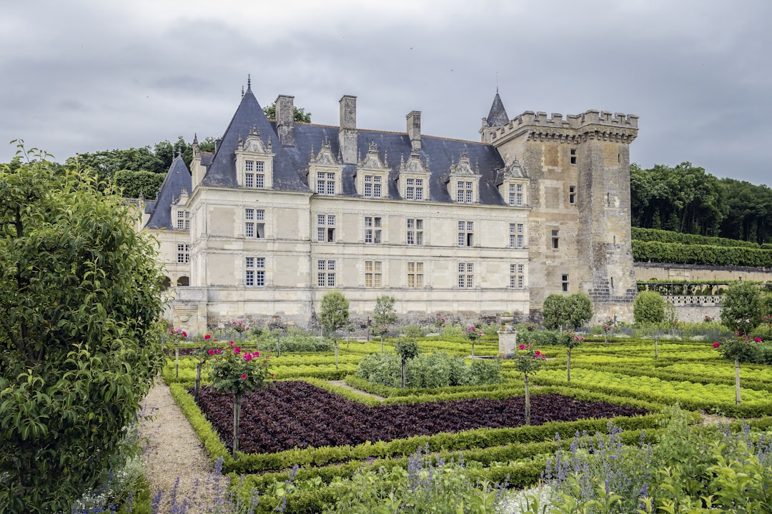 探索维朗德里城堡：历史与迷人花园 - Villandry | Secret World Trip Planner