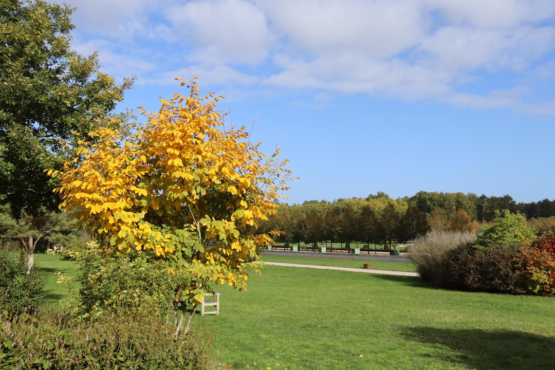 Entdecken Sie den Parc de Chambord: Ein Juwel der Natur in Frankreich - Chambord | Secret World Trip Planner