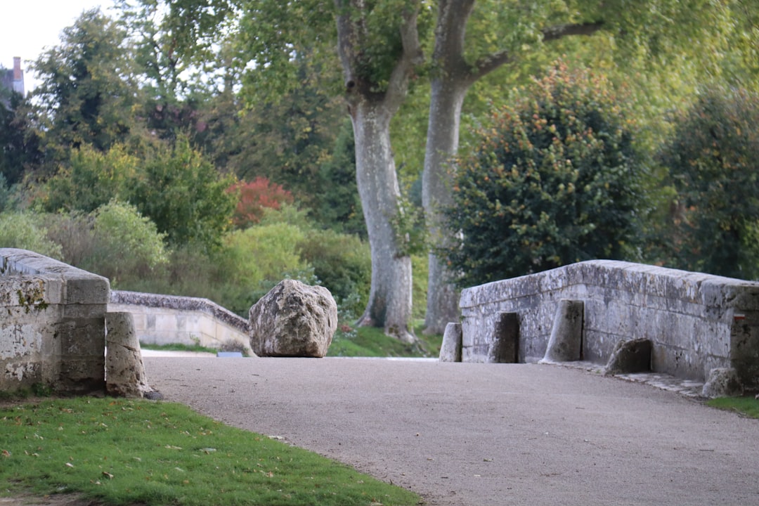 Descubra o Parc de Chambord: uma joia da natureza na França - Chambord | Secret World Trip Planner