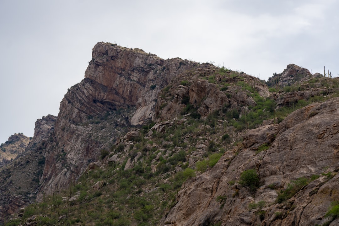 Kitt Peak Observatorium: Der Riese der Sterne - Tucson | Secret World Trip Planner