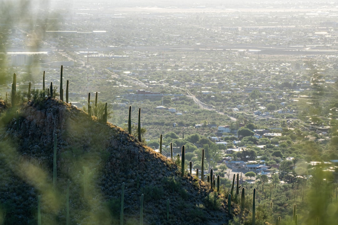 Observatoire de Kitt Peak : le géant des étoiles - Tucson | Secret World Trip Planner