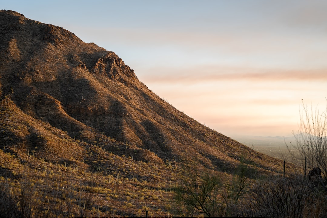 Observatorio de Kitt Peak: el gigante de las estrellas - Tucson | Secret World Trip Planner