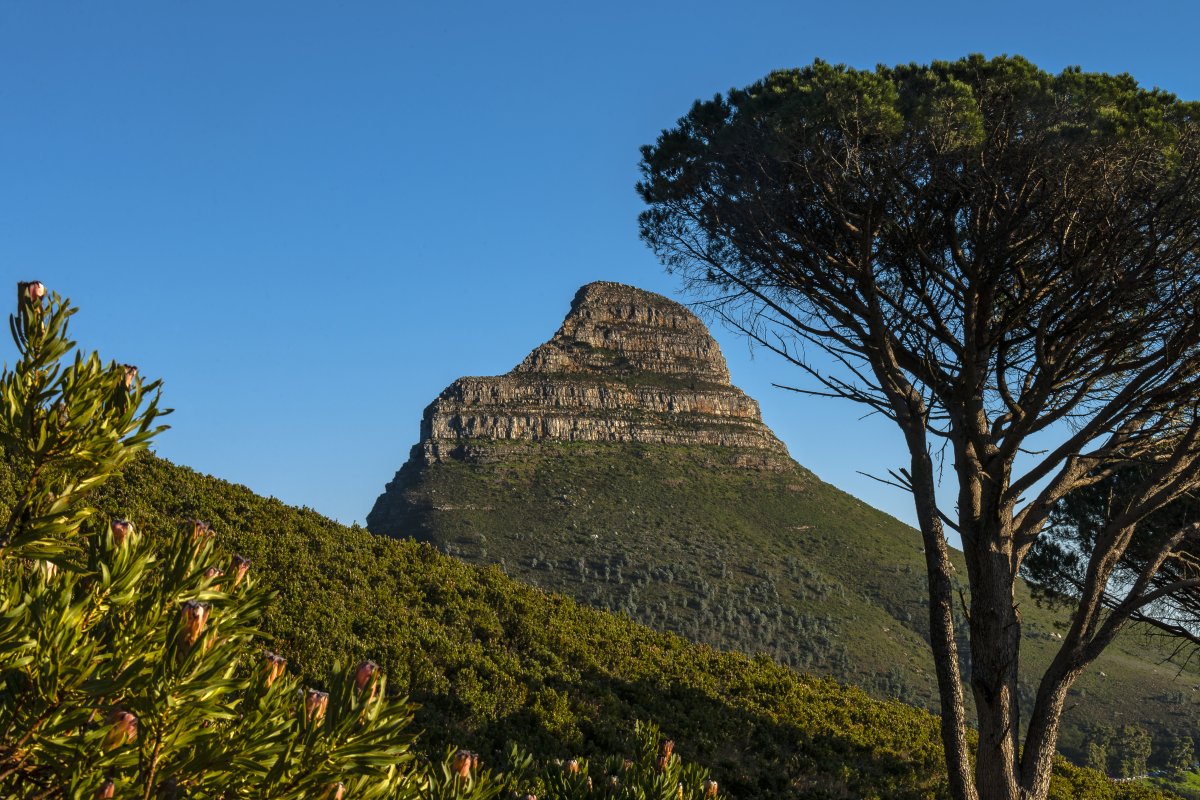 Der Tischberg: Ein Naturparadies in Kapstadt — Città del Capo