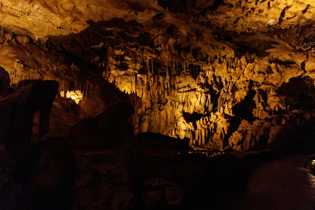 Scopri le Grotte di Lascaux: un tesoro della preistoria - Montignac-Lascaux | Secret World Trip Planner