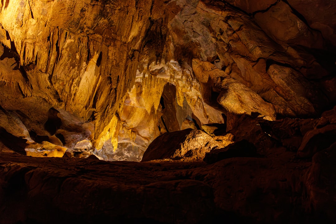 Entdecken Sie die Höhlen von Lascaux: ein Schatz der Vorgeschichte - Montignac-Lascaux | Secret World Trip Planner