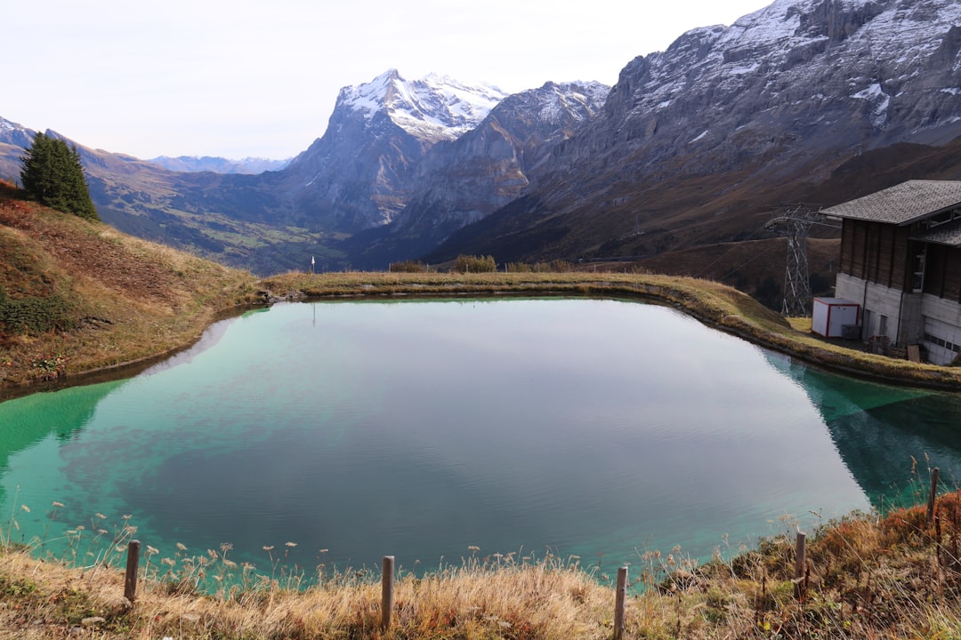 Kleine Scheidegg: Un Paradiso Naturalistico in Svizzera - Kleine Scheidegg | Secret World Trip Planner