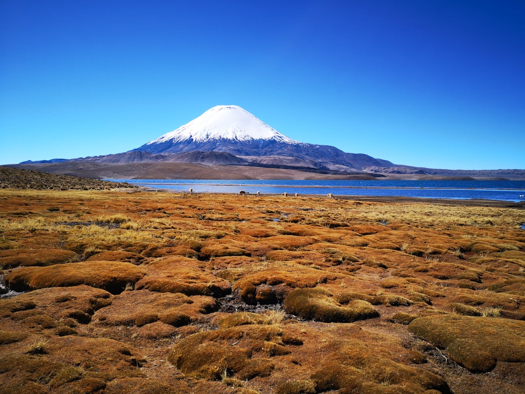 Parinacota: El Volcán Oculto de los Andes - Parinacota | Secret World Trip Planner