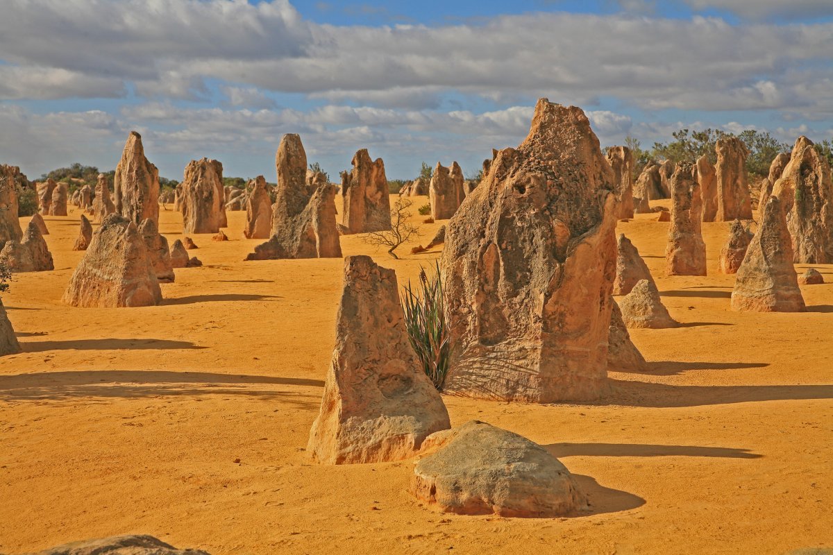 Desierto de los Pinnáculos: Un Paraíso Oculto en Australia — Nambung Australia Occidentale 6521