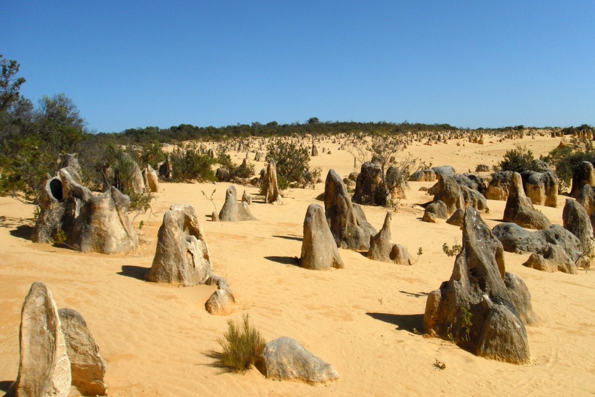 Desierto de los Pinnáculos: Un Paraíso Oculto en Australia - Nambung Australia Occidentale 6521 | Secret World Trip Planner