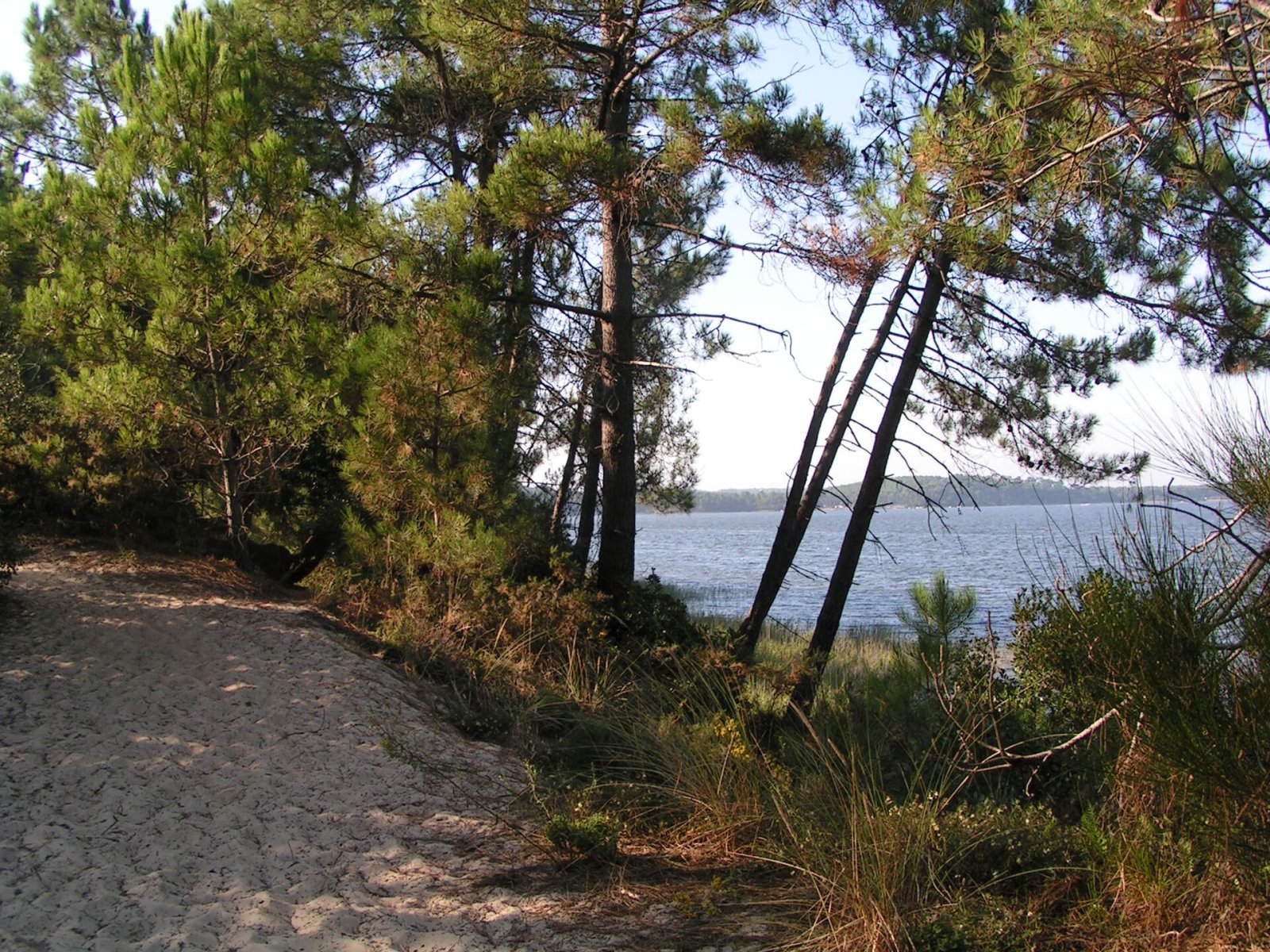 Découvrez le Lac de Lacanau : Un coin de nature en France - Marquay | Secret World Trip Planner