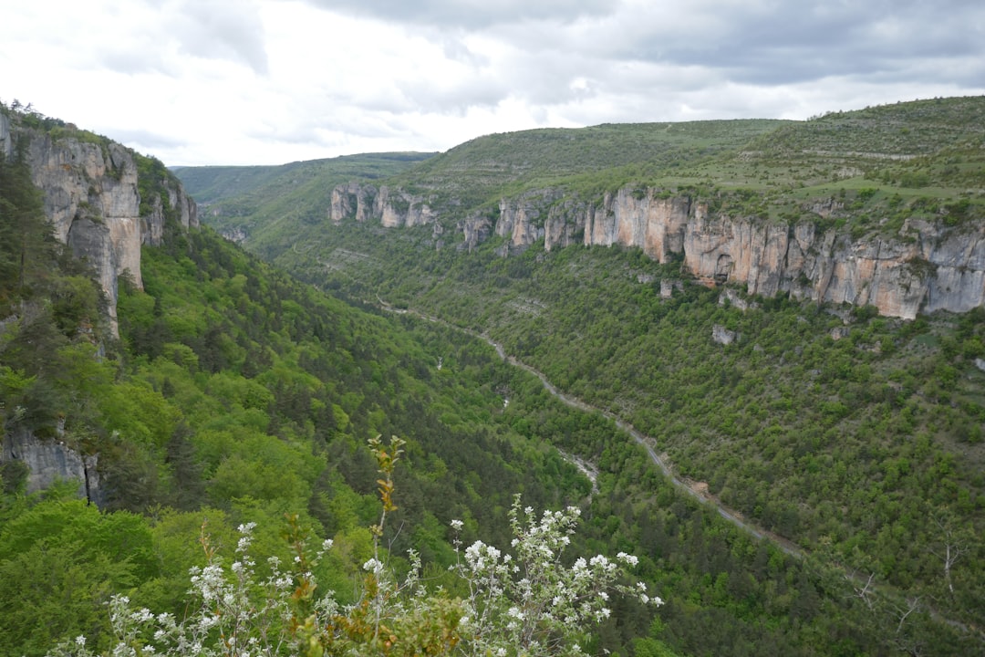 Gorges du Tarn: Ein Naturparadies in Okzitanien - Millau | Secret World Trip Planner