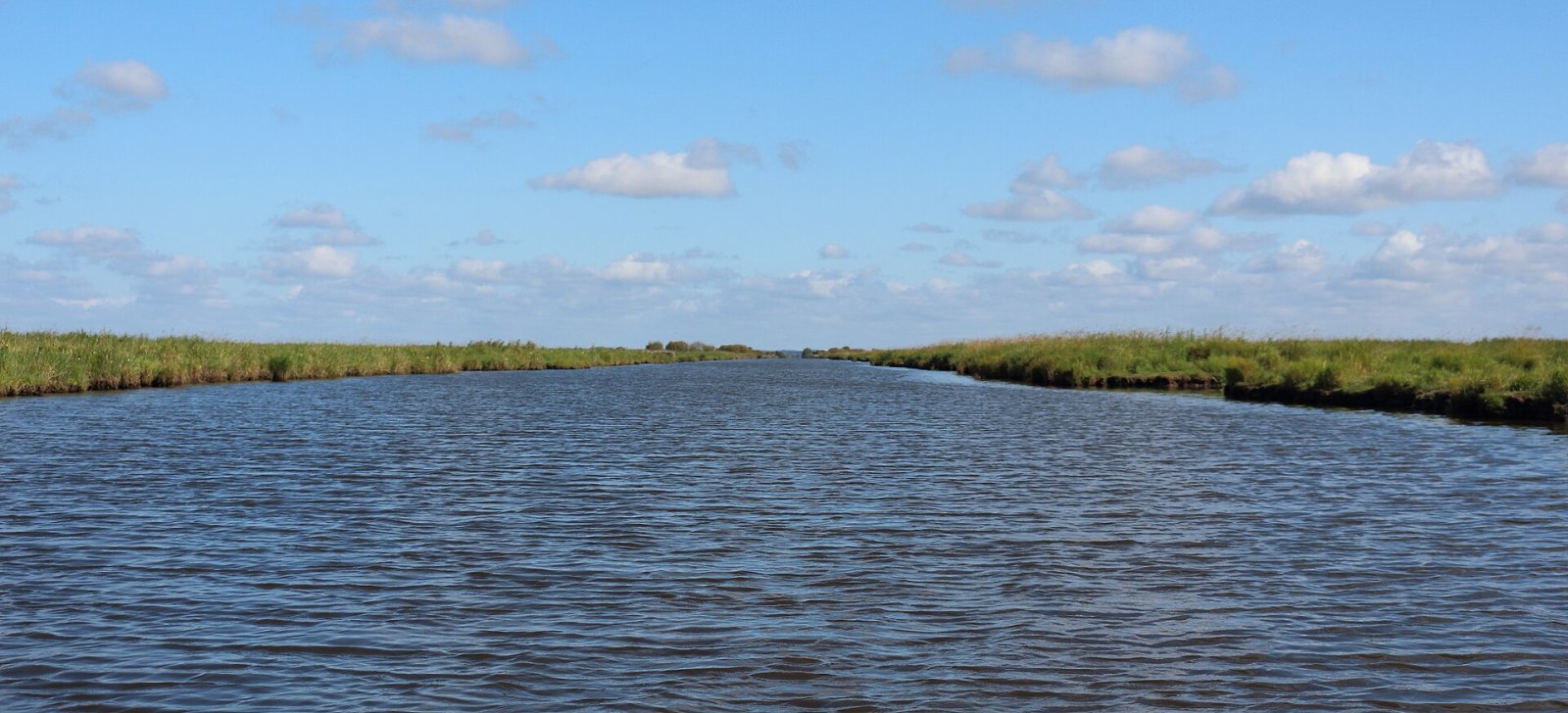 Scopri il Marais de Brière: un angolo di natura a Saint-Nazaire — Nançay