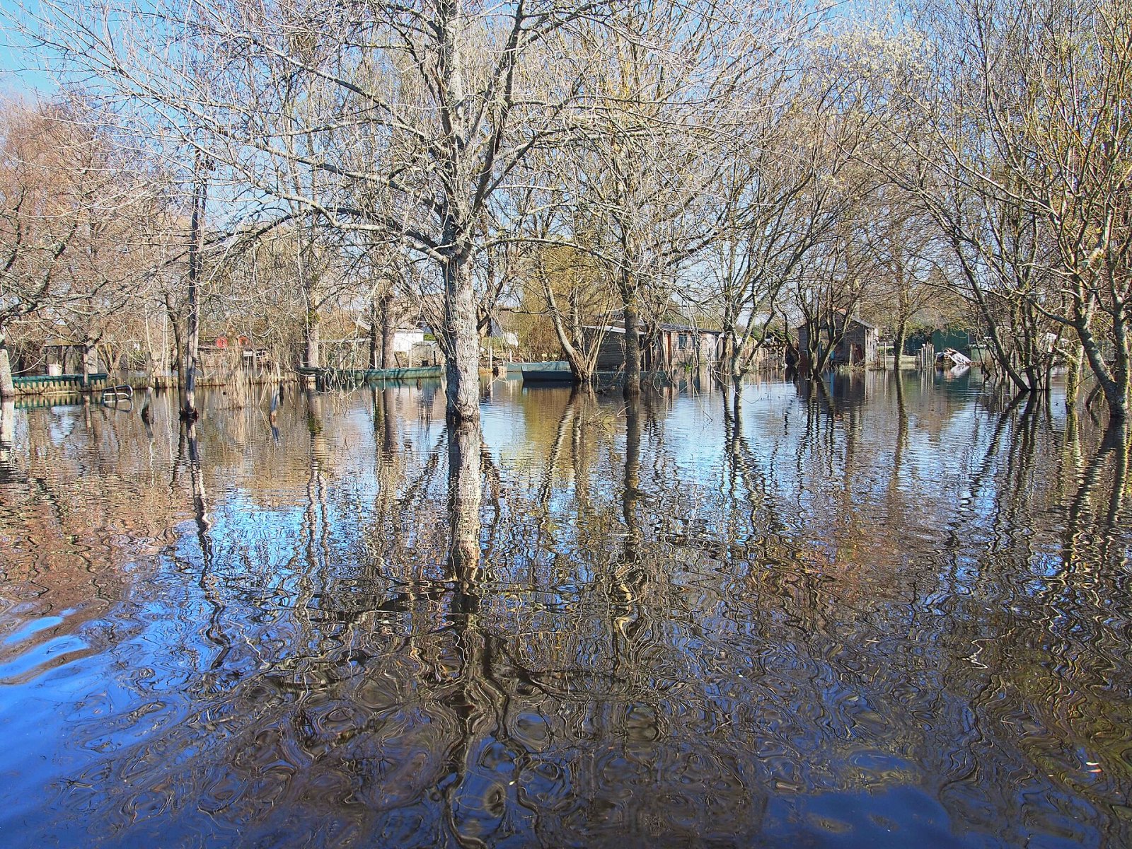 Scopri il Marais de Brière: un angolo di natura a Saint-Nazaire - Nançay | Secret World Trip Planner