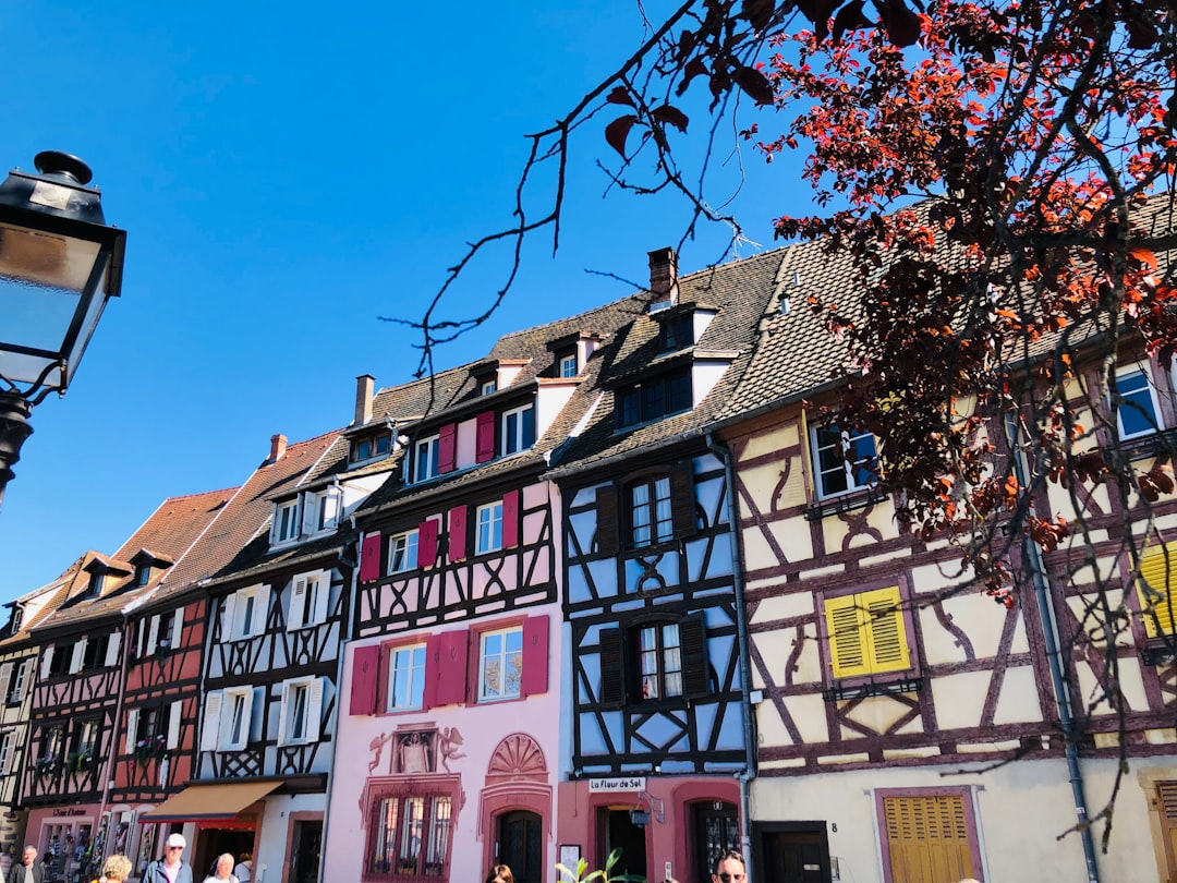 Откройте для себя Винный маршрут Эльзаса в Колмаре - Colmar | Secret World Trip Planner