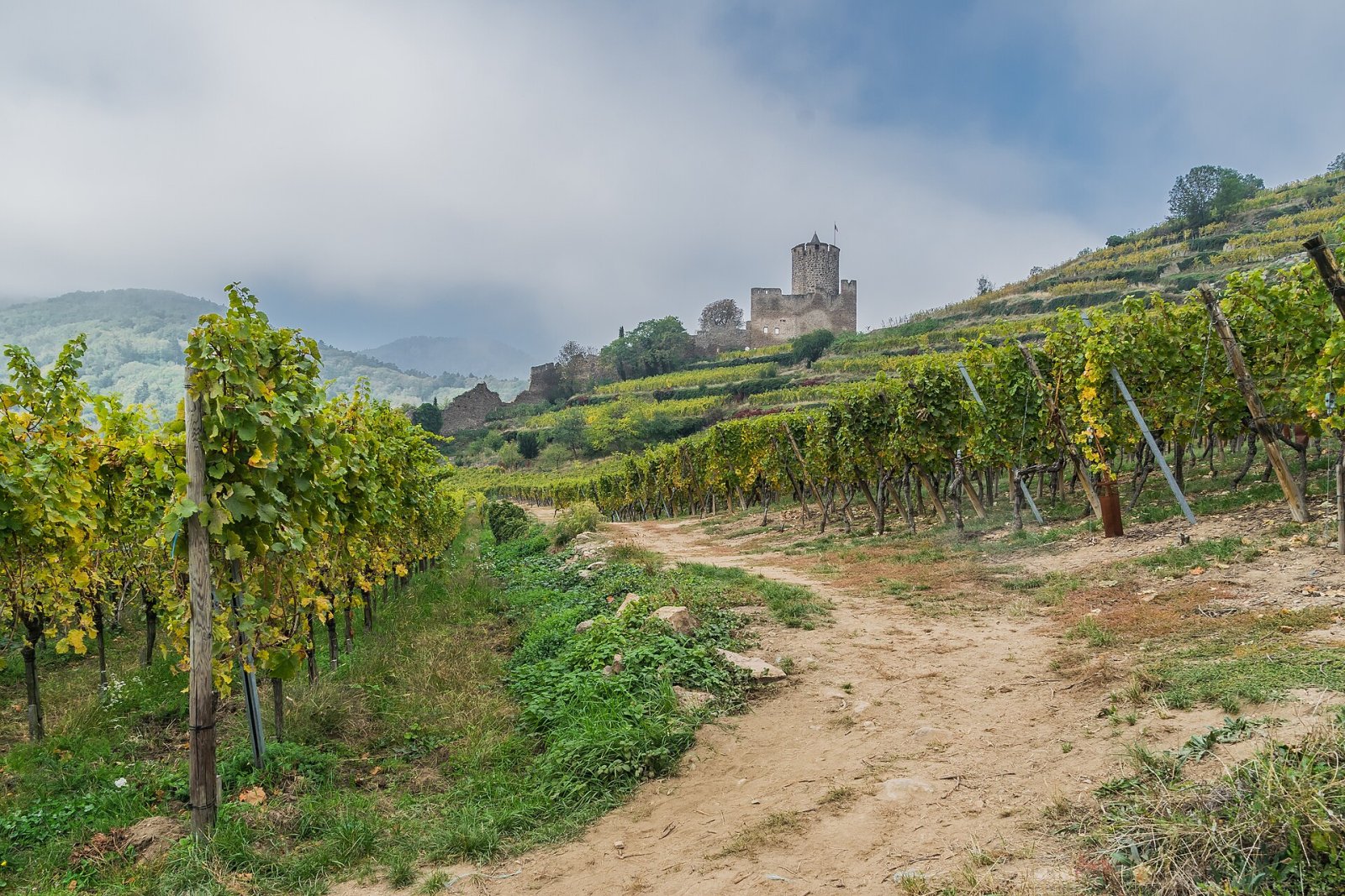 アルザスのカイゼルスベルク城の魅力を発見する - Kaysersberg Vignoble | Secret World Trip Planner