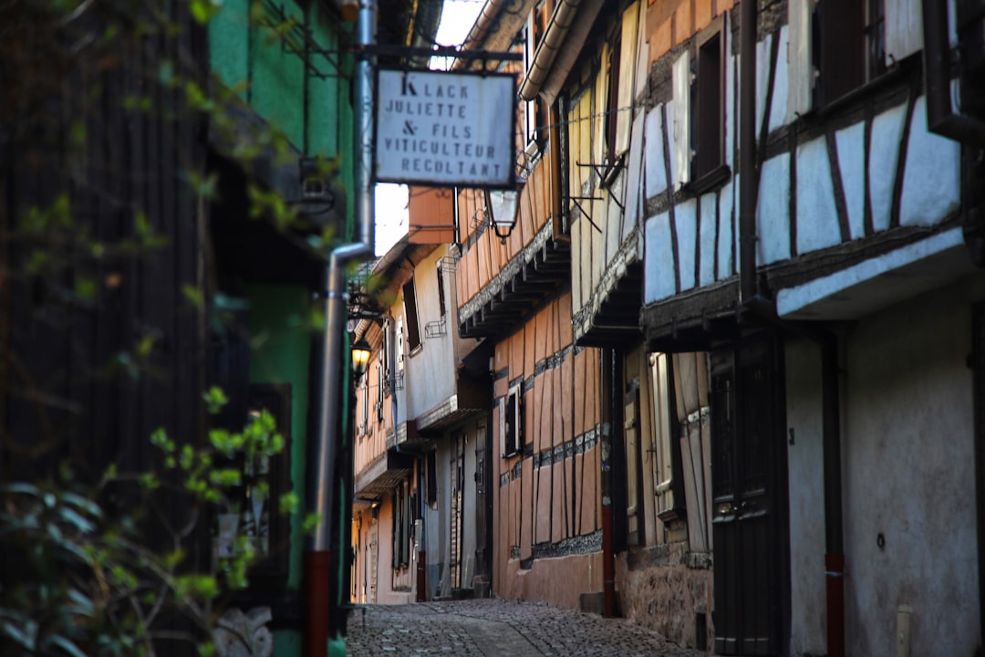 Riquewihr: Una joya medieval en Alsacia - Riquewihr | Secret World Trip Planner
