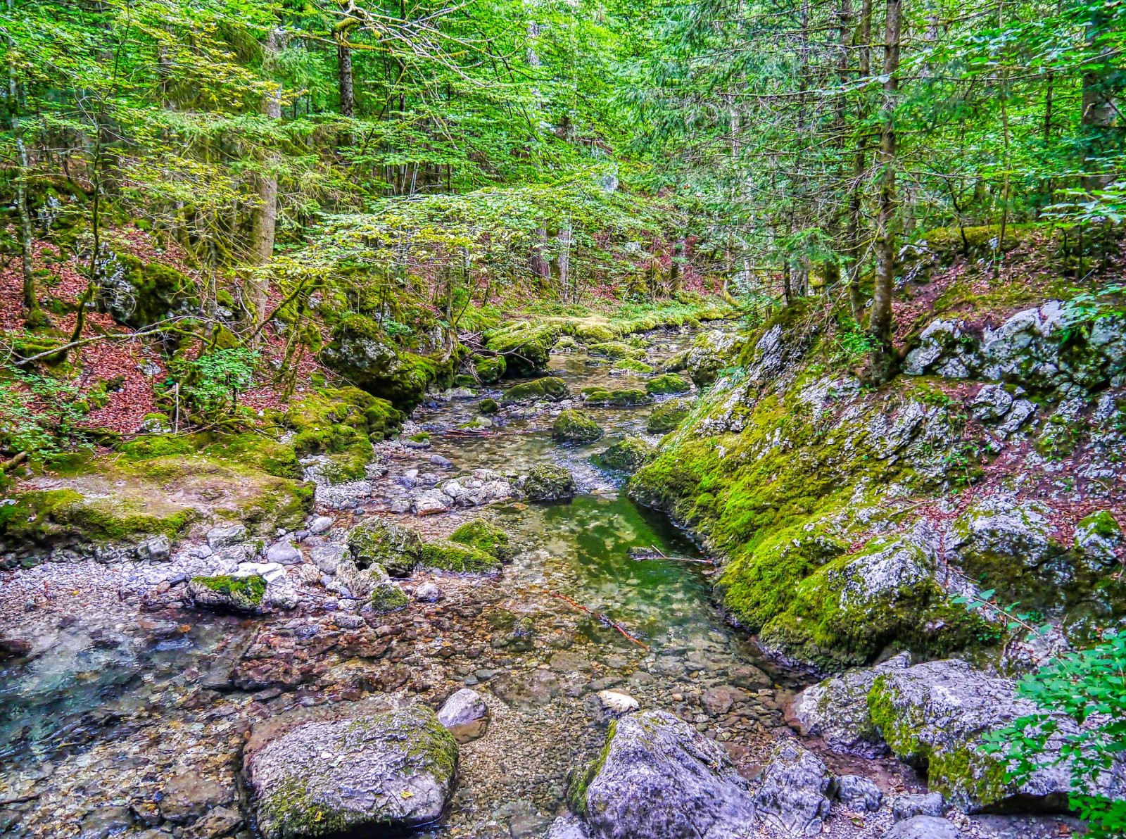 Entdecke den Cirque de Saint-Même: ein Naturjuwel in Frankreich — Plateau-des-Petites-Roches