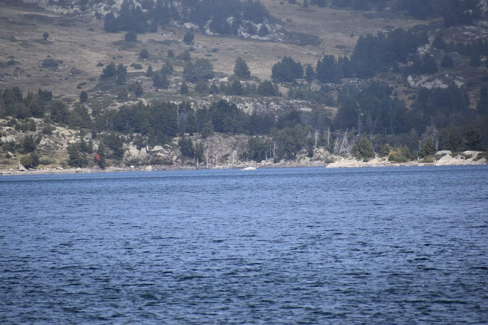 Lago de Bouillouses: una joya natural en Occitania - La Llagonne | Secret World Trip Planner