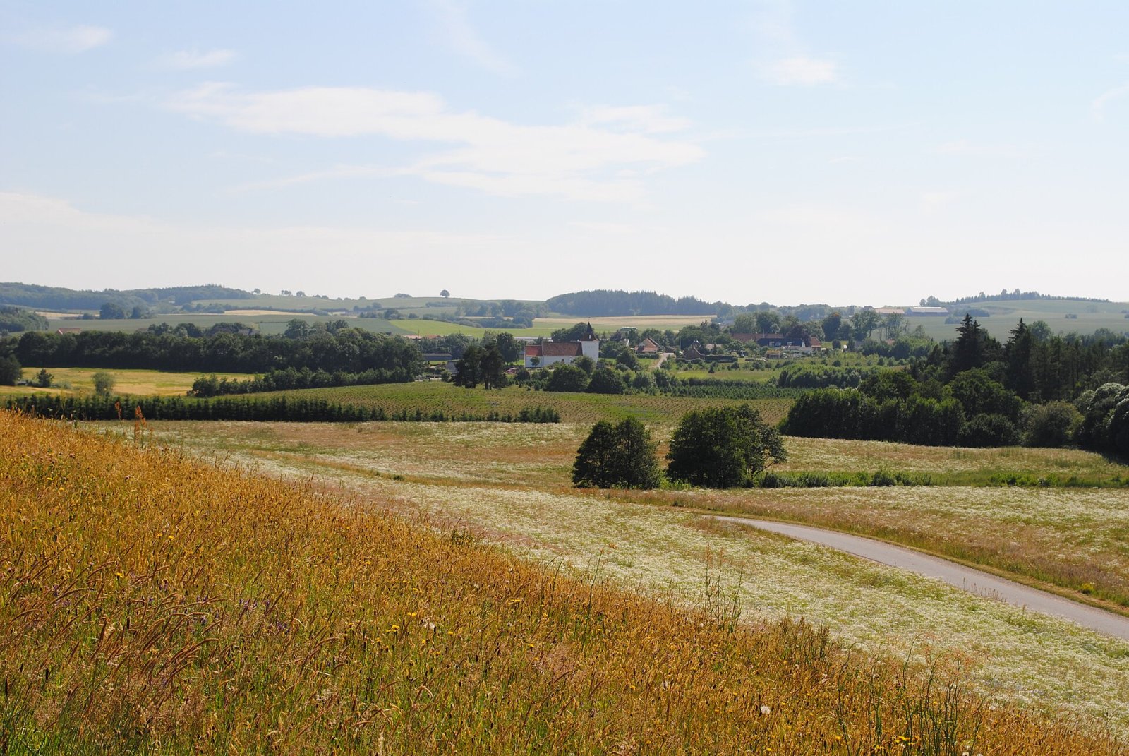 Faarbjerg : Découvrez le tumulus mystérieux du Danemark — Hylke Møllevej 2