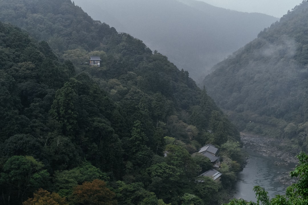 Iya Valley : Le Cœur Vert du Japon - Miyoshi | Secret World Trip Planner