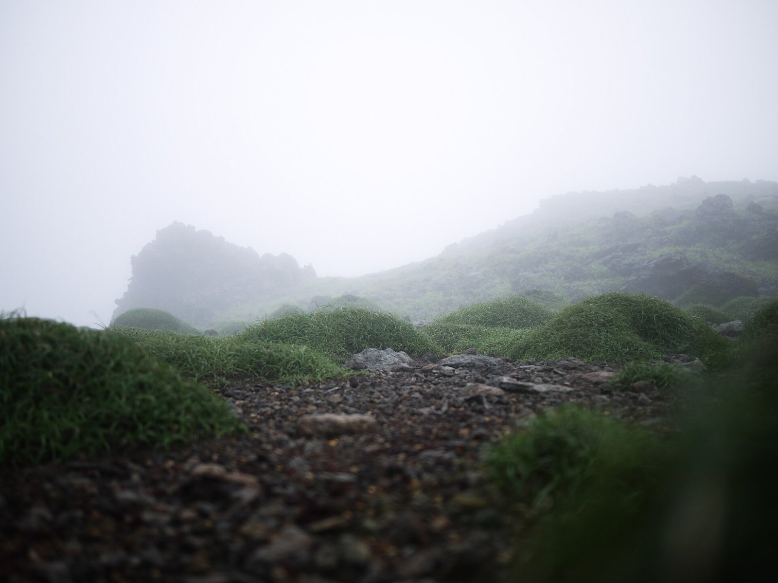 Découvrez le Mont Aso : un voyage entre nature et volcans au Japon - Takamori | Secret World Trip Planner