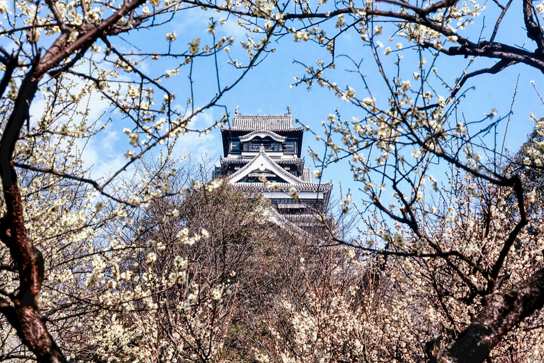 Explorando el Castillo de Kumamoto: Historia y Bellezas - Kumamoto | Secret World Trip Planner